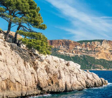 Meander with Maiya: Provence