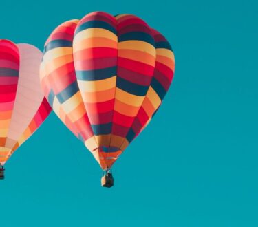 Team Spotlight: Alice Davies